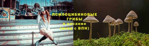 амф Зеленокумск